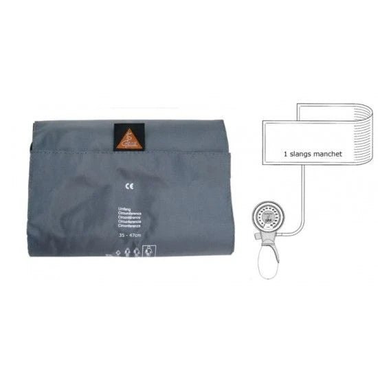 5291